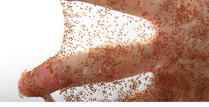 ��Ȼ̩��С�w��������Ĥ