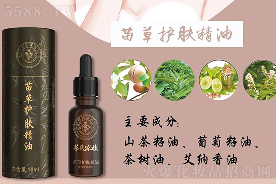 ����o�w����